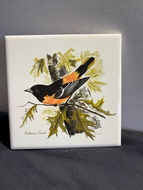 Baltimore Oriole Decorative Ceramic Tile - Black & Orange Bird Art